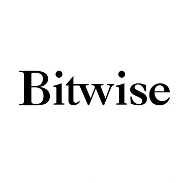The word "Bitwise" displayed in black serif font on a white background.