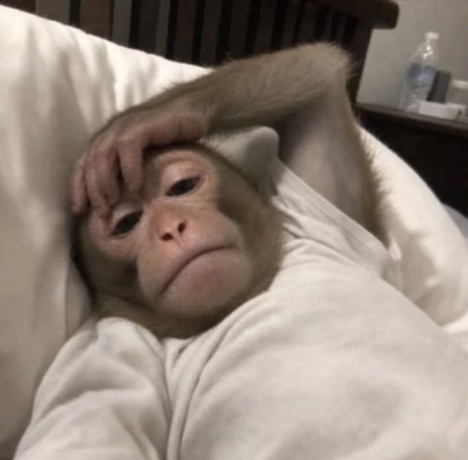 A baby monkey lying in bed with white sheets, wearing a white garment, resting its hand on its forehead in a tired or dramatic pose.