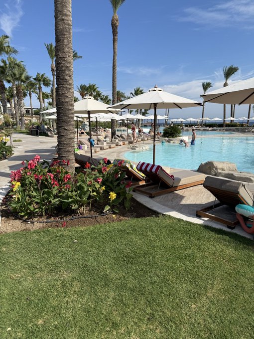 A sunny resort pool scene with palm trees, white umbrellas, lounge chairs, and vibrant flowers invites a relaxing start to the day — perfect morning vibes for a "Gm friends!" greeting.