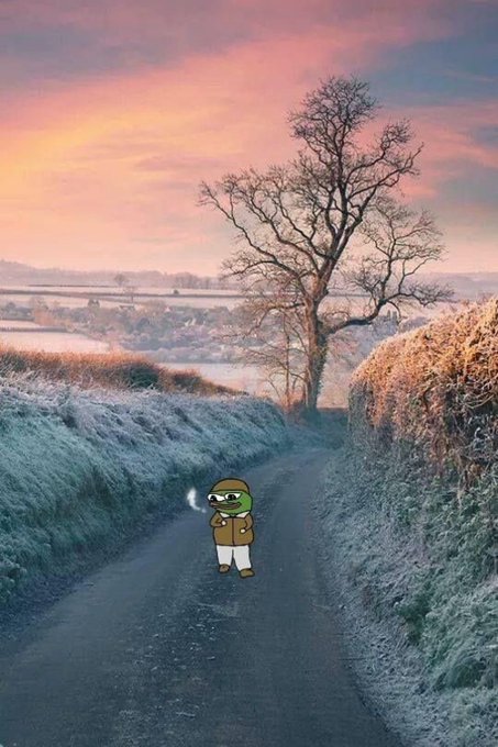 A Pepe the Frog character wearing sunglasses, a brown jacket, and white pants while smoking, standing on a frosty rural road beneath a leafless tree at sunset.