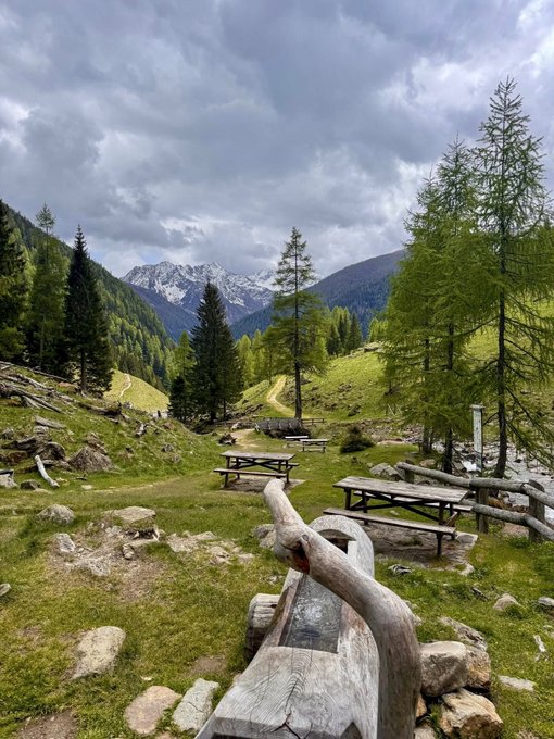 A scenic mountain landscape with snow-capped peaks, green meadows, scattered pine trees, wooden picnic tables, and log benches under a cloudy sky.