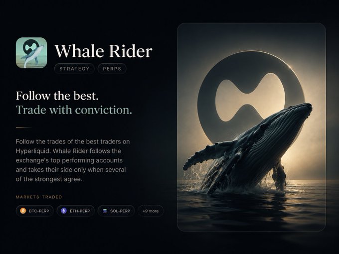 The image is a promotional graphic for "Whale Rider," a strategy/perps tool that follows top traders on Hyperliquid, featuring a dramatic breaching whale against a circular logo backdrop. It lists traded markets including BTC-PERP, ETH-PERP, and SOL-PERP, with the tagline "Follow the best. Trade with conviction." This visually supports the post by showcasing Whale Rider's ability to automatically track and act on the trades of Hyperliquid's best performers.