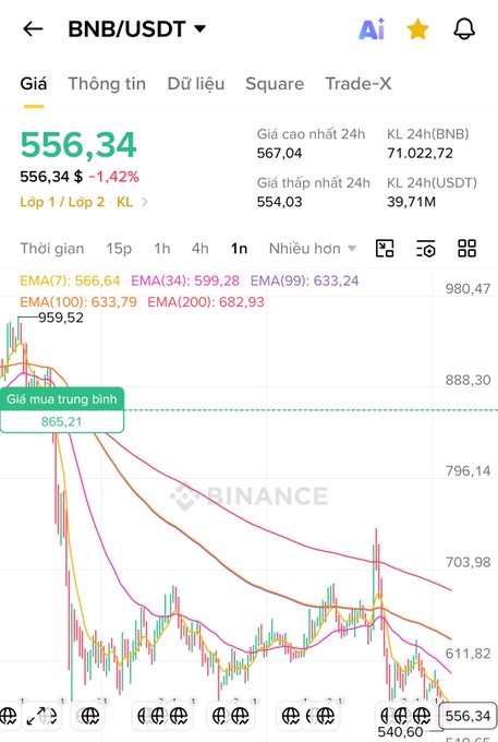 A Binance price chart showing BNB/USDT at 556.34 USDT, down 1.42%, with a dramatic decline from a peak of 959.52 to recent lows around 540-556, illustrating the steep losses referenced in the caption about BNB holders who bought at the top.
