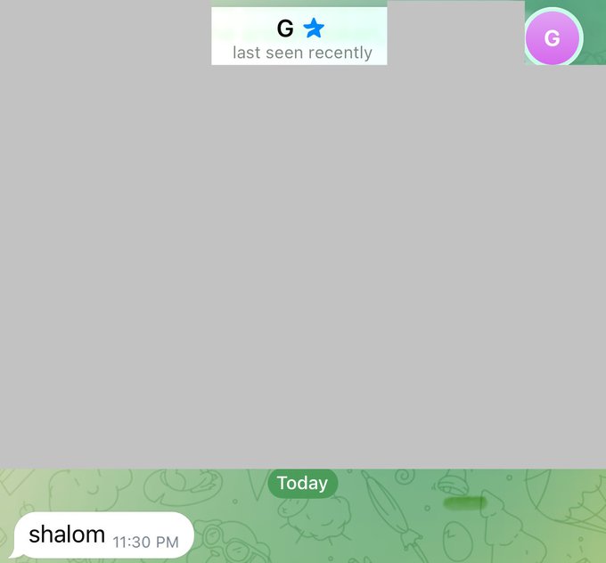 A blank chat screen with 'G' contact marked as 'last seen recently' and a sent message reading 'shalom' at 11:30 PM.