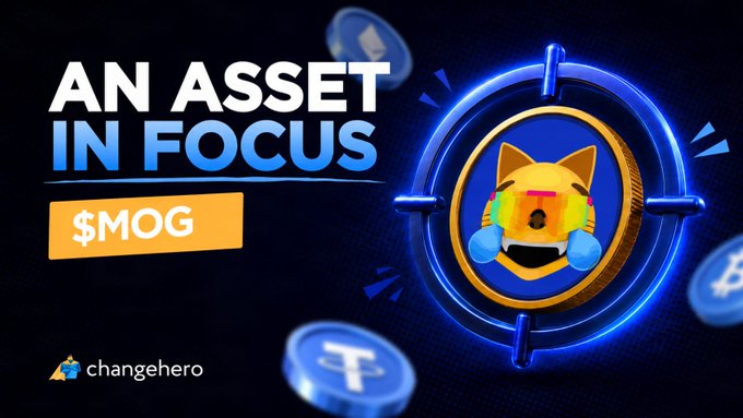 The image is a promotional graphic from ChangeHero featuring "$MOG" with the headline "AN ASSET IN FOCUS," displaying a cat-like meme coin character inside a crosshair reticle, which thematically ties to the caption's playful claim that "the cat literally mogs."