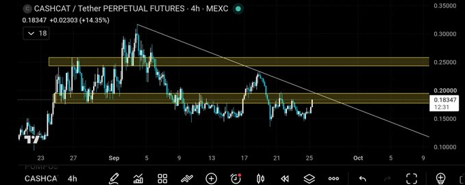 A candlestick chart showing the CASHCAT / Tether PERPETUAL FUTURES pair on MEXC, with the current price at 0.18347.