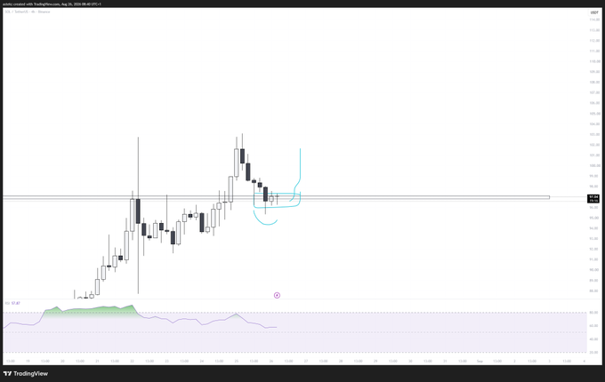 A TradingView candlestick chart of Solana (SOL/USD) showing a bullish trend followed by a recent pullback into a highlighted support zone, suggesting a potential reversal and move back upward. An RSI indicator at the bottom appears near oversold territory, supporting the idea of a bullish trap.