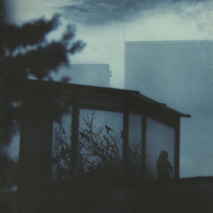 A moody, grainy blue-toned photograph of a silhouetted figure standing inside a glass-walled structure, with a bird perched on bushes in the foreground.