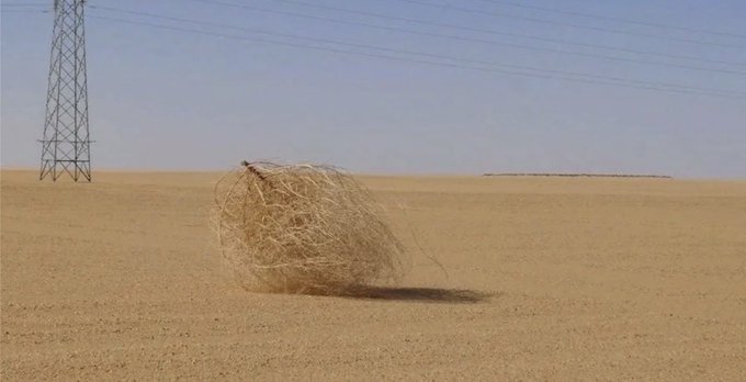 A tumbleweed rolls across a barren, sandy desert landscape with a power line tower visible in the distance.