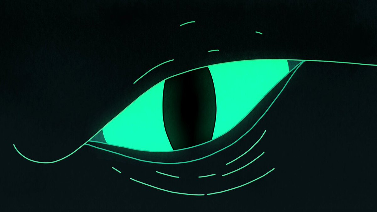 The image features a close-up of a green eye with black lines around it, giving it a digital or cartoonish appearance. The background appears to be a dark color, possibly a shade of blue or black. There are two names posted on this image - "NEAR AI Cloud" and "Focus on what is in the image and how it relates to the post". These names seem to be related to the content displayed in the image.