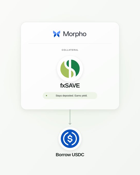 An informational graphic for the crypto platform Morpho shows a 'fxSAVE' collateral pool that 'Stays deposited. Earns yield.', which allows users to 'Borrow USDC'.