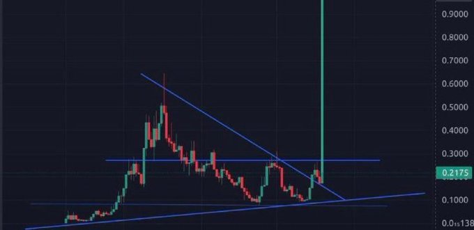A cryptocurrency price chart on a dark background displays a candlestick pattern between roughly 0.05 and 0.70 on the y-axis, with a recent dramatic green spike to around 0.80, currently at 0.2175. The chart features blue trendlines forming a symmetrical triangle pattern, highlighting the volatile price action the post references in asking "What memecoin will run like this?"