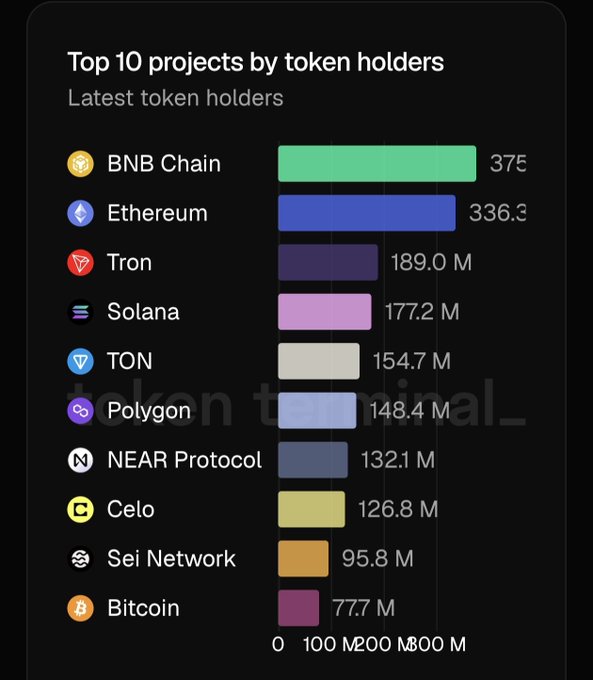 A bar chart titled "Top 10 projects by token holders" ranks BNB Chain first (375 M), followed by Ethereum (336.3 M) and Tron (189.0 M), down to the tenth place, Bitcoin (77.7 M).