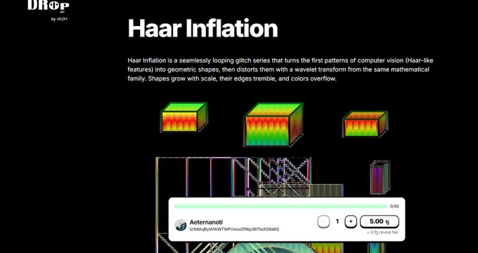 A webpage for 'Haar Inflation,' a glitch series by objkt.com, showing colorful 3D pixel-art cubes and an item priced at 5.00 Ƚ.