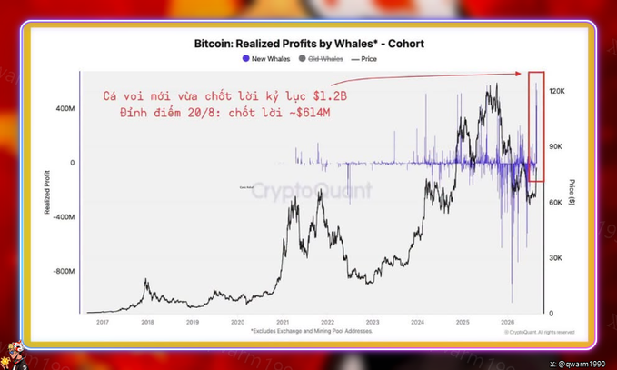 A chart titled 'Bitcoin: Realized Profits by Whales* - Cohort' by CryptoQuant, showing a black price line and purple profit bars from 2017-2026, with red Vietnamese text noting whales just realized ~$1.2B in profits, estimating ~$614M profit-taking on 20/8.