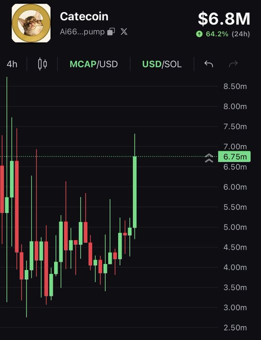The image shows a cryptocurrency chart for Catecoin, currently at a market cap of $6.8M and showing a 64.2% increase in 24 hours, reflecting the bullish sentiment expressed in the accompanying post.