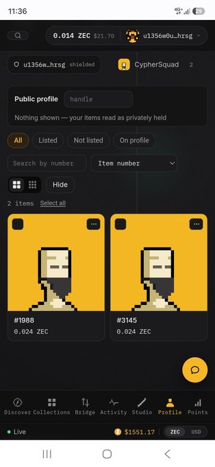 A mobile app screenshot displaying a 'Public profile' for 'u1356w0u..hrs6g' with two pixel art NFT items (#1988 and #3145) priced at 0.024 ZEC each.