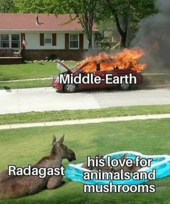 A meme showing a car on fire labeled "Middle-Earth" while a kangaroo with a pool full of baby kangaroos sits calmly in the foreground, labeled "Radagast" and "his love for animals and mushrooms."