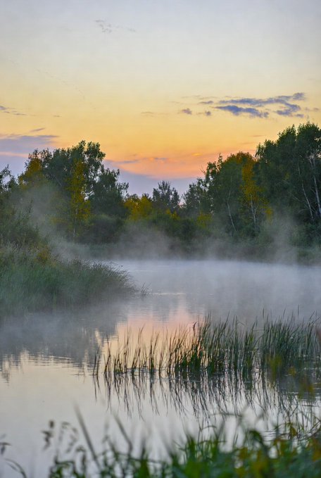 The image shows a serene scene of a river surrounded by trees at sunrise or sunset. The sky above has a beautiful blend of orange, yellow, and blue hues, creating an enchanting atmosphere. The water surface appears misty, adding to the overall tranquility of the scene. In the background, there are some trees with green leaves that provide a natural backdrop for this picturesque view.