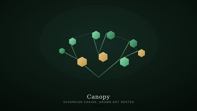 A logo for 'Canopy' featuring an interconnected network of green and orange hexagons with the tagline 'SOVEREIGN CHAINS, GROWN NOT RENTED.'