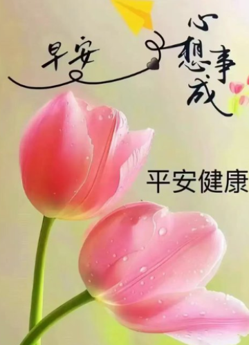 A Chinese greeting card featuring pink lotus flowers with dewdrops and Chinese characters reading '早安' (Good morning), '心想事成' (May all wishes come true), and '平安健康' (Peace and health).