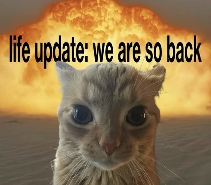A meme featuring a close-up of a cat's face in the foreground with a massive mushroom cloud explosion in the background, overlaid with the text 'life update: we are so back'.