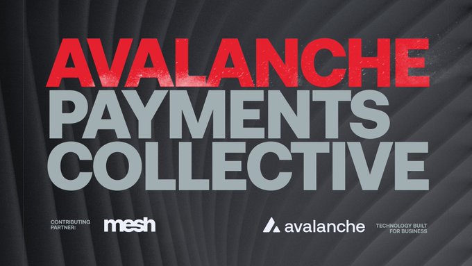 The image features a poster for the Avalanche payments collective, which is an initiative by Mesh. The poster has a black background with red text that reads "AVALANCHE PAYMENTS COLLECTIVE" at the top. Below this, there are two lines of gray text that say "focus on what is in the image and how it relates to the post". This suggests that the collective is focused on understanding and analyzing the current state of payments technology and infrastructure.