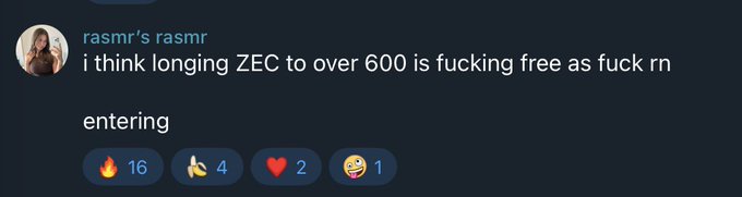A Discord message from user "rasmr's rasmr" reads "i think longing ZEC to over 600 is fucking free as fuck rn," accompanied by the word "entering" and 22 reactions (16 fire, 4 prayer hands, 2 heart, 1 laughing). The post reflects a bullish stance on ZEC cryptocurrency, aligning with the accompanying text about making a gain.