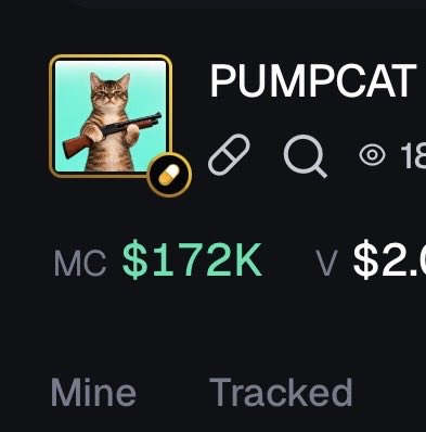 A crypto trading interface shows the meme token "PUMPCAT" featuring a cat holding a shotgun as its mascot, displaying a market cap of $172K and a partially visible 24-hour volume of $2.0K. The "I could shed a tear right now" caption reflects disappointment over the token's modest market cap and low trading volume.
