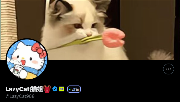 A Persian cat holds a pink tulip in its mouth, serving as the profile picture for a social media account named "LazyCat猫姐" (@LazyCat988). The accompanying post warns followers that the account's owner posts misleading dishes designed to lure in "leeks" (naive investors), advising them not to buy anything promoted by this account.