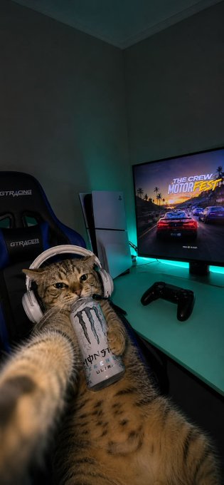 A cat wearing white headphones holds a Monster Ultra energy drink while sitting in front of a monitor displaying "The Crew Motorfest" racing game, with a PlayStation controller on the desk.