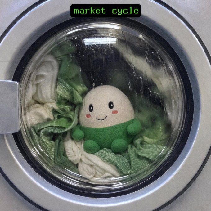 A plush toy with a white smiling face and green limbs sitting inside the drum of a front-loading washing machine, overlaid with the text 'market cycle' in green at the top.