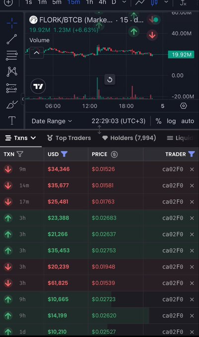 The image shows a trading interface for the FLORK/BTCB token on BSC, displaying a candlestick price chart with a current value of $19.92M and 1.23M (+6.63%) change, alongside a transaction history listing recent buys (green) and sells (red) by trader "ca02F0" ranging from $10,210 to $61,825 in USD value. The transaction log visually supports the post's claim, showing multiple sales at lower prices than corresponding earlier buys, illustrating the whale's trading losses on FLORK.