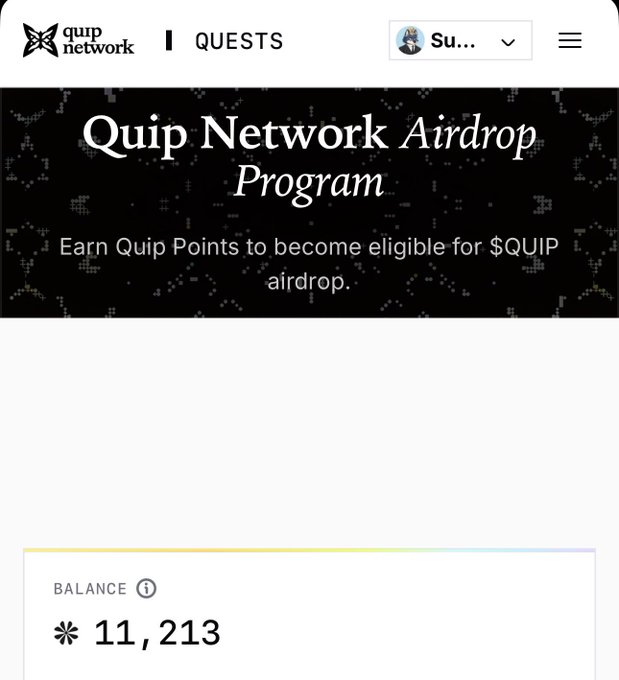 A screenshot of the Quip Network website shows the 'Quip Network Airdrop Program' with a subtitle about earning Quip Points for a $QUIP airdrop, and a balance of 11,213 points displayed below.