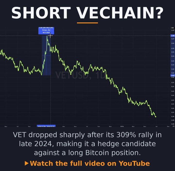 Graphic asking 'SHORT VECHAIN?' featuring a chart of VET/USD showing a 309% rally in late 2024 followed by a sharp drop, promoting a YouTube video.