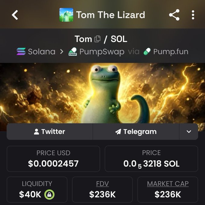 A screenshot of the "Tom The Lizard" ($Tom) token page on PumpSwap via Pump.fun on the Solana blockchain, showing a price of $0.0002457 (0.0000053218 SOL), liquidity of $40K (locked), and an FDV/Market Cap of $236K. The image supports the post's claim about Pump.fun cabal involvement, as the token's metrics indicate it is a newly launched meme coin awaiting its "turn" for attention.