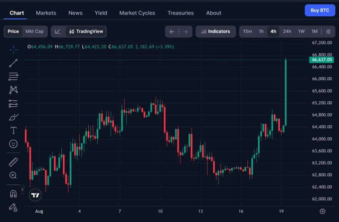 A TradingView Bitcoin (BTC) candlestick chart showing a 3.39% price increase to $66,637.05 over an August timeframe.