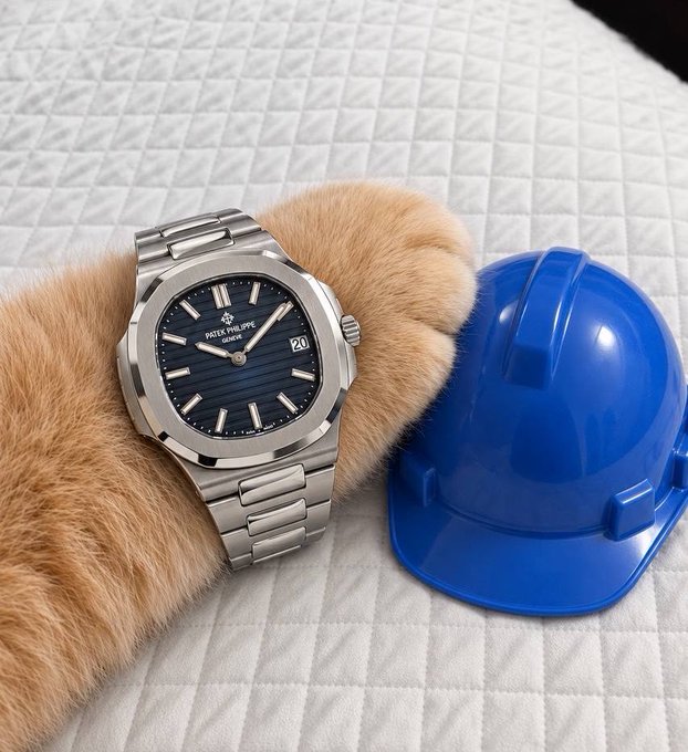 A Patek Philippe Nautilus watch and a blue hard hat rest on a fur-covered surface, humorously representing "Basecat" as a feline construction foreman geared up for a 500M venture.