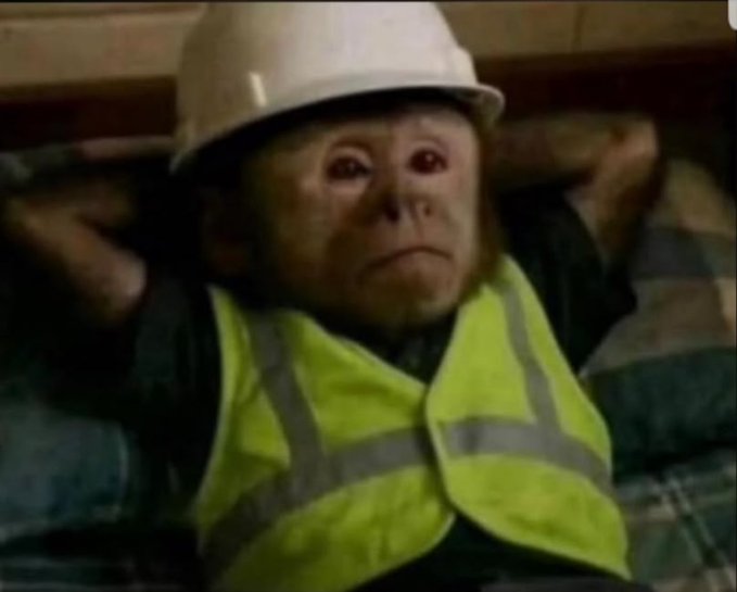 A meme image featuring a monkey wearing a white hard hat and a yellow high-visibility safety vest, sitting with its hands behind its head.