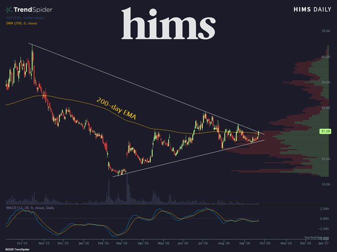A TrendSpider daily chart of $HIMS shows the stock consolidating within a tightening symmetrical triangle pattern since early 2024, with price converging toward the 200-day EMA and current trading around $31.29, while the MACD remains flat near zero — visually illustrating the "wound tight" coiled compression ahead of a potential breakout.