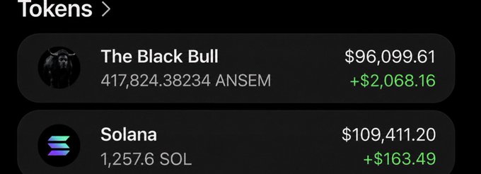 A crypto portfolio screenshot displays holdings of "The Black Bull" token (417,824.38234 ANSEM valued at $96,099.61, up $2,068.16) and Solana (1,257.6 SOL valued at $109,411.20, up $163.49), seemingly to showcase the value of the ANSEM token in order to promote a $500 giveaway requiring participants to like, retweet, and drop their Solana wallet address.