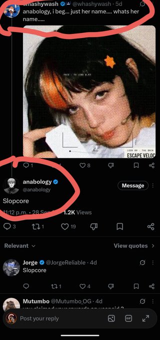 A screenshot of Twitter/X posts circled in red, showing a user asking 'just her name... whats her name....' alongside images labeled 'Slopcore' by users @whashywash and @anabology.
