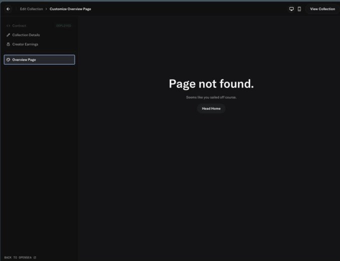 Screenshot of a digital interface with a dark theme displaying a 'Page not found' message and a 'Seems like you sailed off course.' subtitle with a 'Head Home' button.