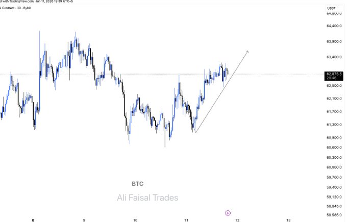 This image shows a chart of Bitcoin values over time. The line graph displays the fluctuations in Bitcoin's value against the date, with the x-axis representing time and the y-axis indicating the value of Bitcoins in thousands of dollars.
