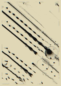 An abstract artwork with diagonal black brushstrokes and ink-like droplets on a cream background.