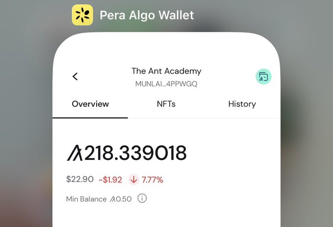 The image shows a cell phone screen displaying information about an account balance, transactions, and fees. The text on the screen reads "The ant academy Munal.appwq nfts history min balance A218,330987%". This information is related to the Pera Algo Wallet post that says "I have this in my @PeraAlgoWallet what do I buy? Big spender."