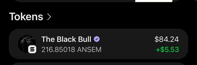 A mobile screenshot shows a crypto portfolio display for "The Black Bull," holding 216.85018 ANSEM tokens valued at $84.24, up $5.53 (green), under a "Tokens" header. The image illustrates the poster's "lil bag" of ANSEM tokens, supporting their bullish call to push the token's market cap to 500M.