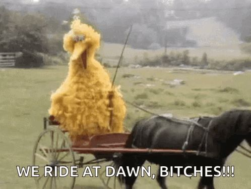 A yellow-feathered chicken wearing a small hat sits regally in a horse-drawn carriage across a grassy field. Caption text at the bottom reads "WE RIDE AT DAWN, BITCHES!!!"