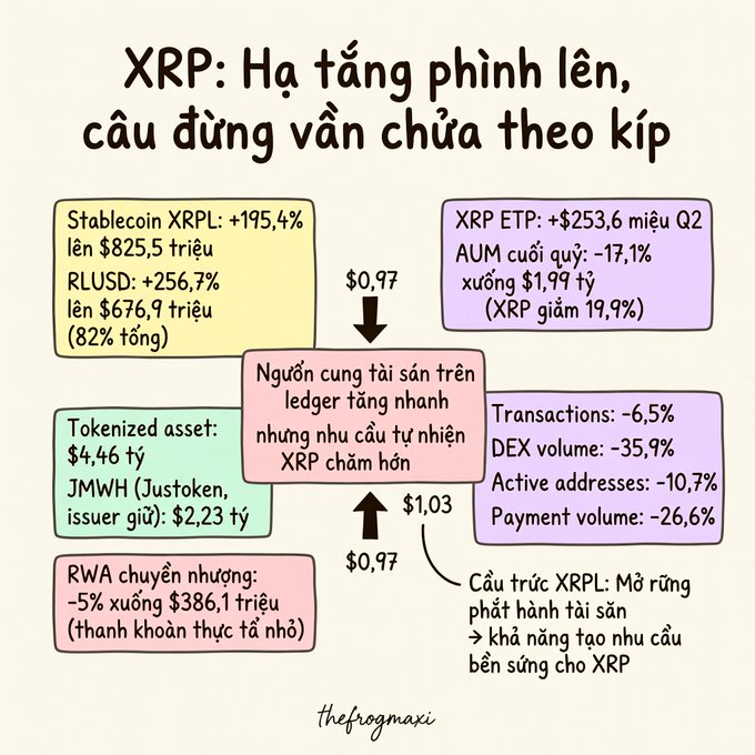 An infographic titled 'XRP: Hạ tầng phình lên, cầu dùng vẫn chưa theo kịp' in Vietnamese, detailing various XRP-related statistics including stablecoin growth, tokenized assets, and declining transactions, credited to 'thefrogmaxi'.