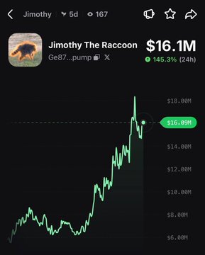 The image shows a price chart for the meme token "Jimothy The Raccoon" (Ge87...pump on the Solana chain), displaying a strong upward trend with a current price of $16.1M and a 24-hour gain of +145.3%, visually confirming the post's claim of a major rally.